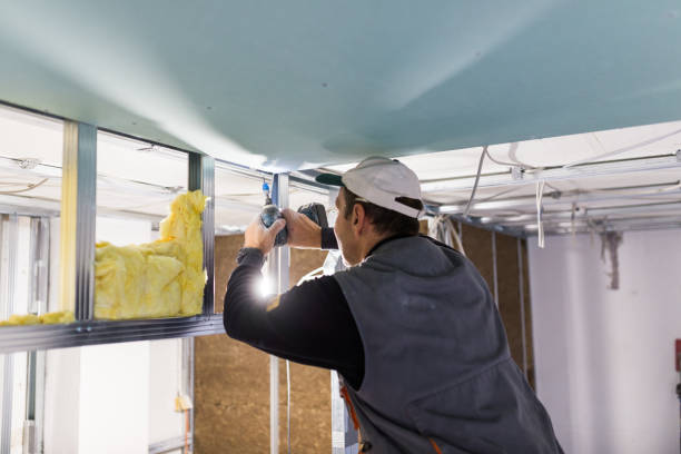 Best Insulation Air Sealing  in Kelseyville, CA